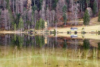 Autumnal forest and hut with a reflection in Lake Ferchensee