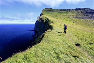 Hiker on a cliff near Hornstrandir
