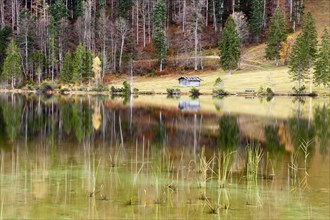 Autumnal forest and hut with a reflection in Lake Ferchensee