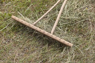 Wooden rake during the hay harvest in a field