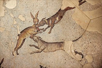 6th century Byzantine Roman hare hunt mosaics from the peristyle of the Great Palace from the reign of Emperor Justinian I.