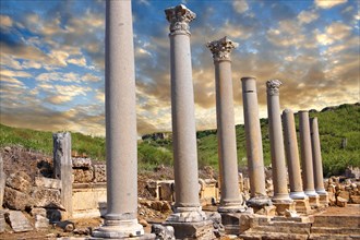 Columns of the Roman Agora of Perge