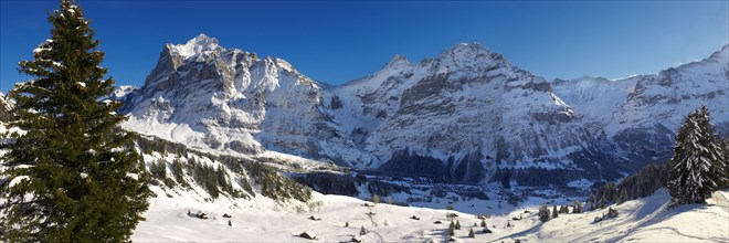 Alpine slopes in winter looking towards Wetterhorn mountain