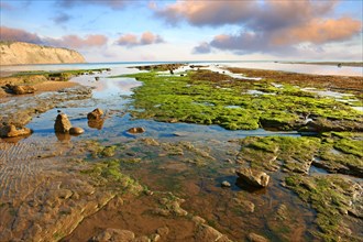 Rock pools on the beach of the historic fishing village of Robin Hood's Bay