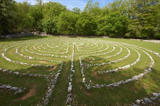Vesna's Labyrinth
