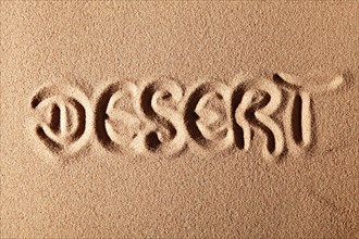 The word DESERT