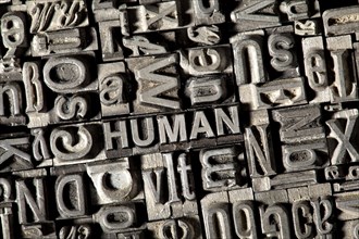 Old lead letters forming the word HUMAN