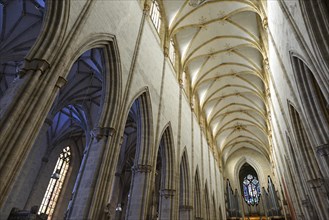 View of the vaulted ceiling in the nave