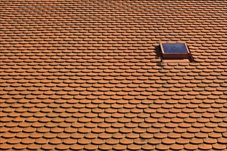 Beavertail roof tiles and a roof hatch