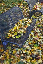 Park benches with autumn foliage