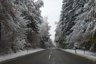 A country road through a snowy forest near Feldkirchen-Westerham
