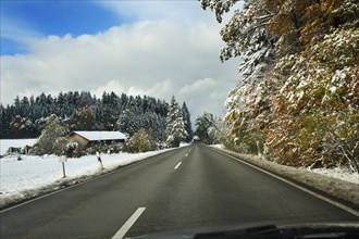 A country road and a snowy forest near Feldkirchen-Westerham