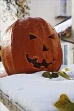 Halloween pumpkin in the snow
