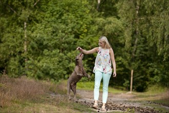 Woman playing with a Labrador Retriever