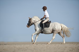 Child riding a horse on the beach