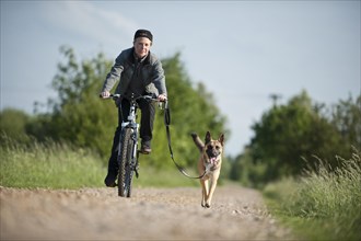 Malinois running beside a bike