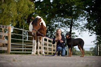 Girl with a horse and a Doberman