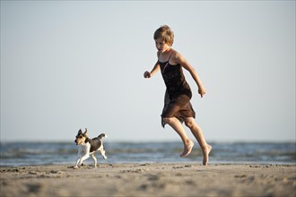 Girl running with a Dansk-Svensk Gardshund or Danish-Swedish Farmdog on the beach