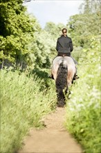 Woman riding a Belgian Draft horse along a path