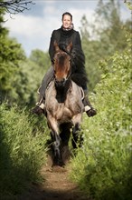 Woman riding a Belgian Draft horse