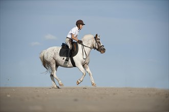 Girl riding a pony on the beach