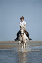 Girl on a pony trotting along the beach