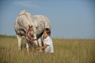 Girl and a pony in a meadow