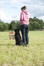 Woman playing flyball with a mixed-breed dog