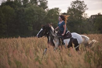 Woman gallopping on an Irish Tinker across a meadow