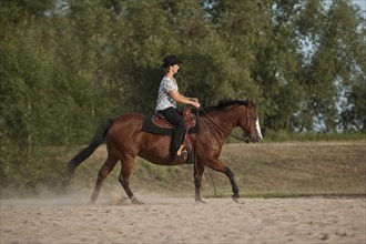 Woman riding a galloping Quarter Horse