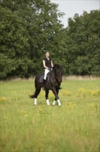 Woman riding a Holsteiner horse across a meadow