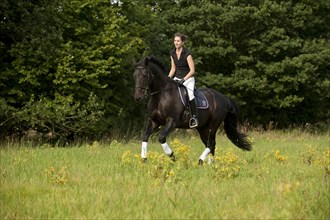 Woman riding a galloping Holsteiner horse across a meadow