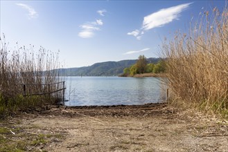 Access to Lake Constance in Bodman-Ludwigshafen