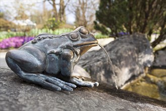 Frog fountain on the island of Mainau
