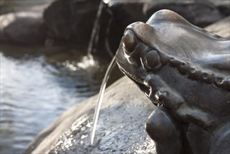 Frog fountain on the island of Mainau