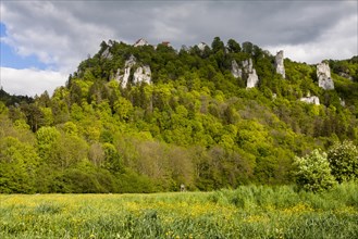 Rocks in the Danube Valley and Burg Wildenstein Castle