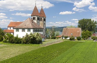 Church of St. Peter and Paul in Niederzell on the island of Reichenau
