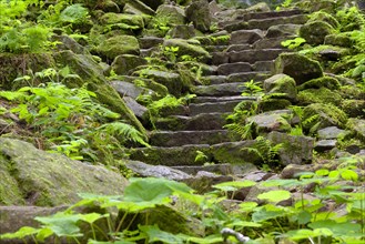 Natural stone staircase near Schapbach