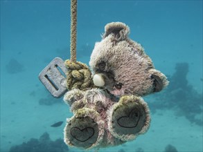 Teddy bear as a guide or target marker for scuba divers