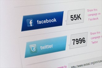 Screenshot of the Twitter and Facebook tabs
