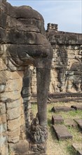 Elephant trunk at the Terrace of the Elephants