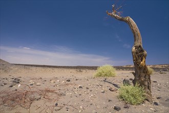 Landscape shaped by flood basalts on the road between Semera