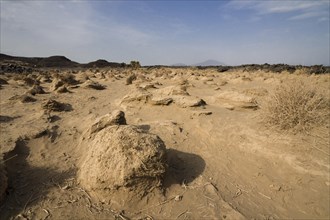 Landscape shaped by flood basalts at Afdera