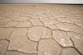 Salt formations of the Ass Ale salt lake in the Danakil Depression