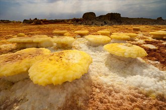 Landscape shaped by hydro-thermal activity at the Dallol volcano