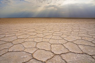 Salt formations of the Ass Ale salt lake in the Danakil Depression