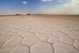 Salt formations of the Ass Ale salt lake in the Danakil Depression