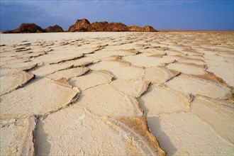 Salt formations of the Ass Ale salt lake in the Danakil Depression