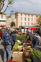 Market in Apt city