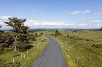 Country road near Grandrieu